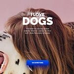 dogs_3.jpg