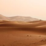 desert.jpg