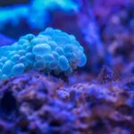 underwater2.jpg